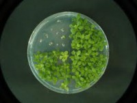 /album/tecnologias-verdes/tec4-jpg1/
