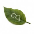 /album/fotogaleria/co22-jpg/